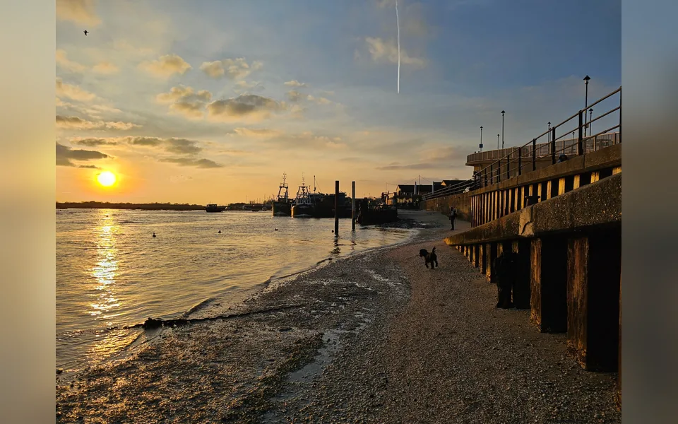 Golden light along the shore