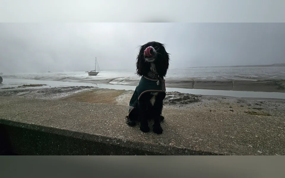 Genuine photograph from a seaside adventure with oReo