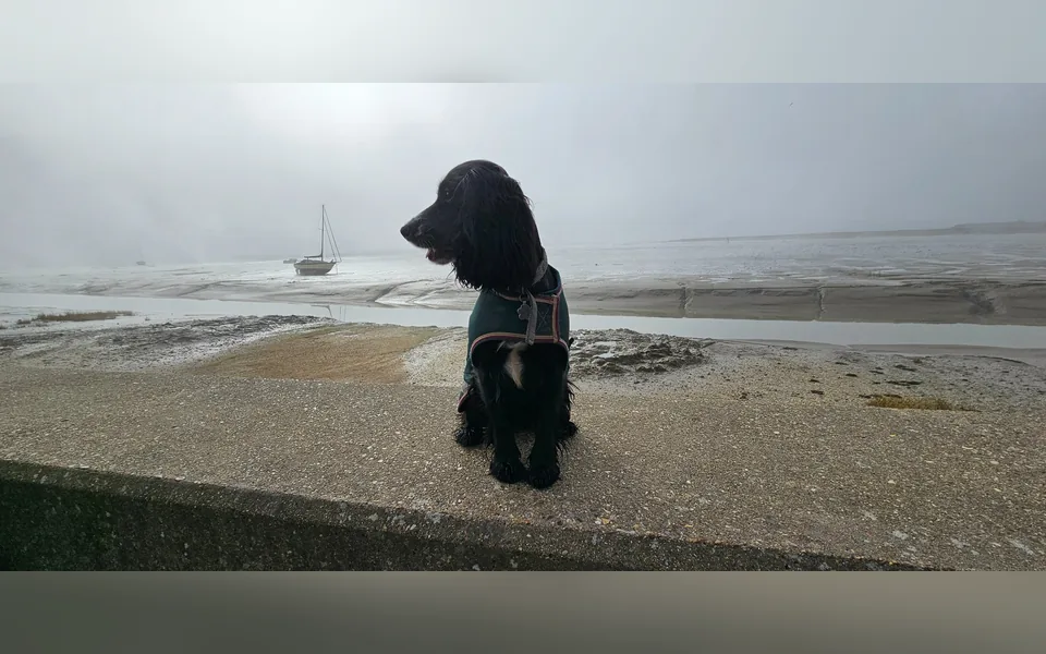 A quiet moment beside the water
