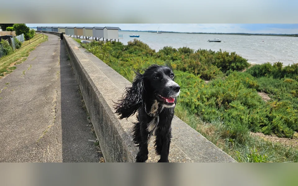 Exploring green riverside paths