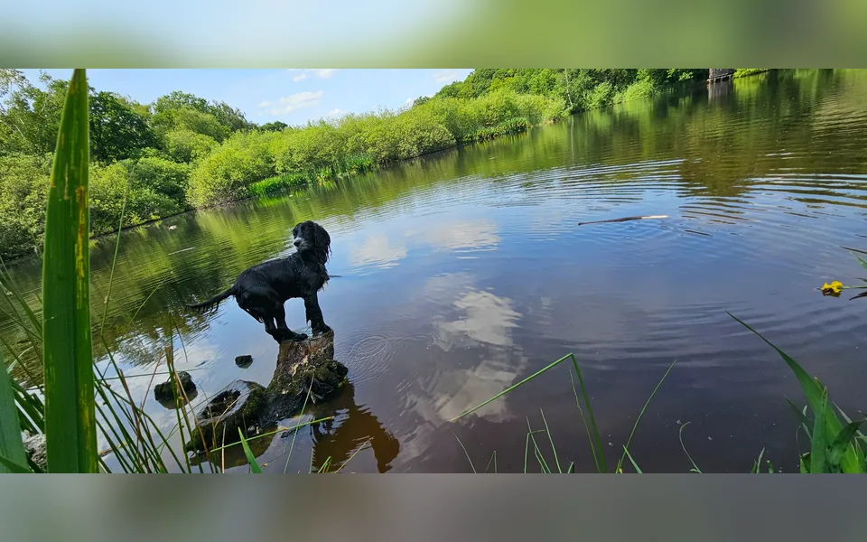 A waterside pause